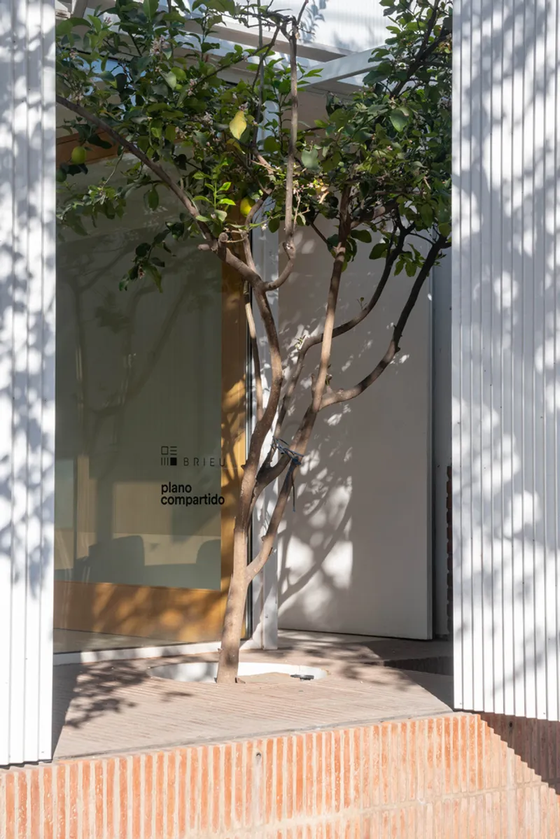 Slender fruit tree growing from brick planter against the glass and corrugated metal entry wall
