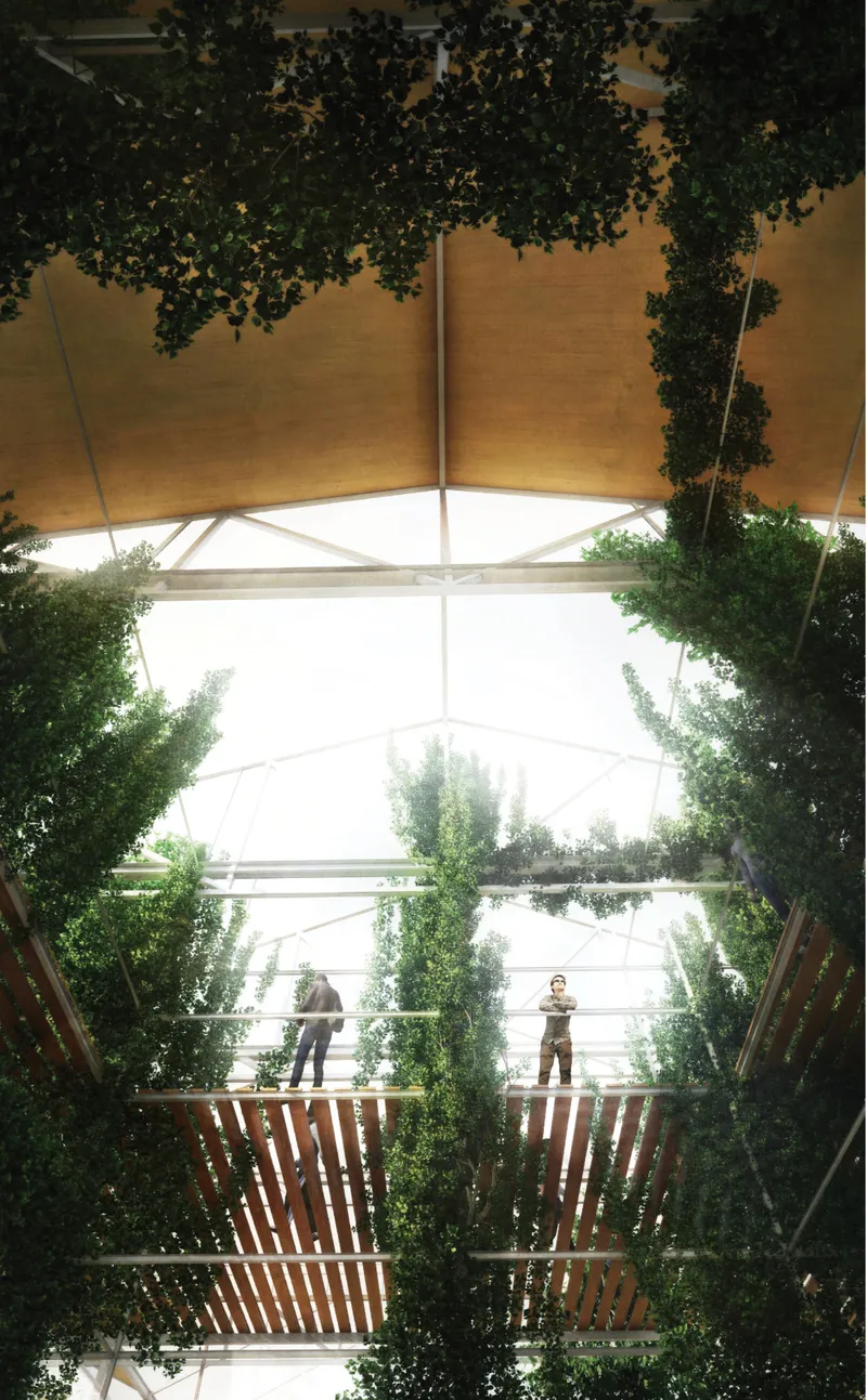 Looking up through translucent canopy with white steel trusses and vertical planting framing two figures above