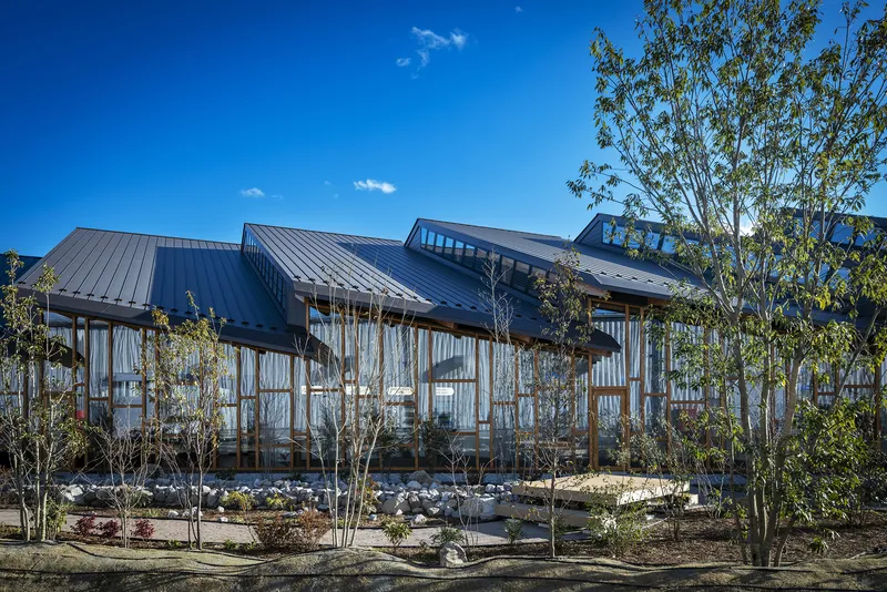 Glass-walled facade with vertical timber mullions and angled rooflines seen through a grove of birch trees