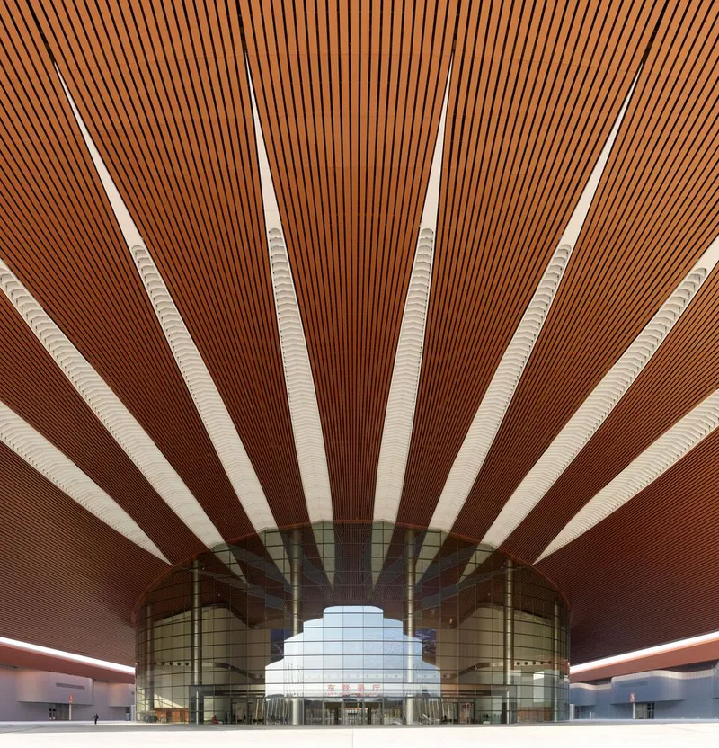 Interior view of radiating timber slat ceiling with linear skylights converging toward a central glazed volume