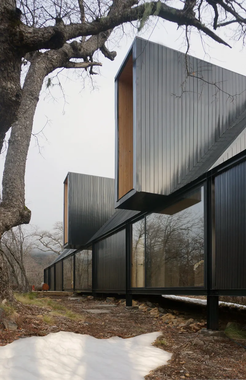Cantilevered upper volume clad in vertical metal with timber-lined reveal and bare tree branches overhead