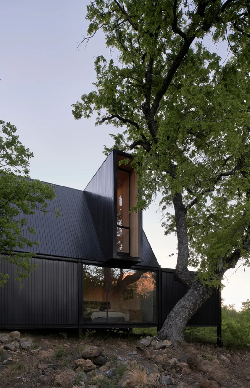 Vertical window slot with timber lining in dark metal facade beneath an oak tree at dusk