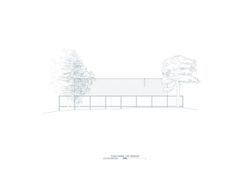 Elevation drawing of a low glazed volume flanked by two trees on a sloped site