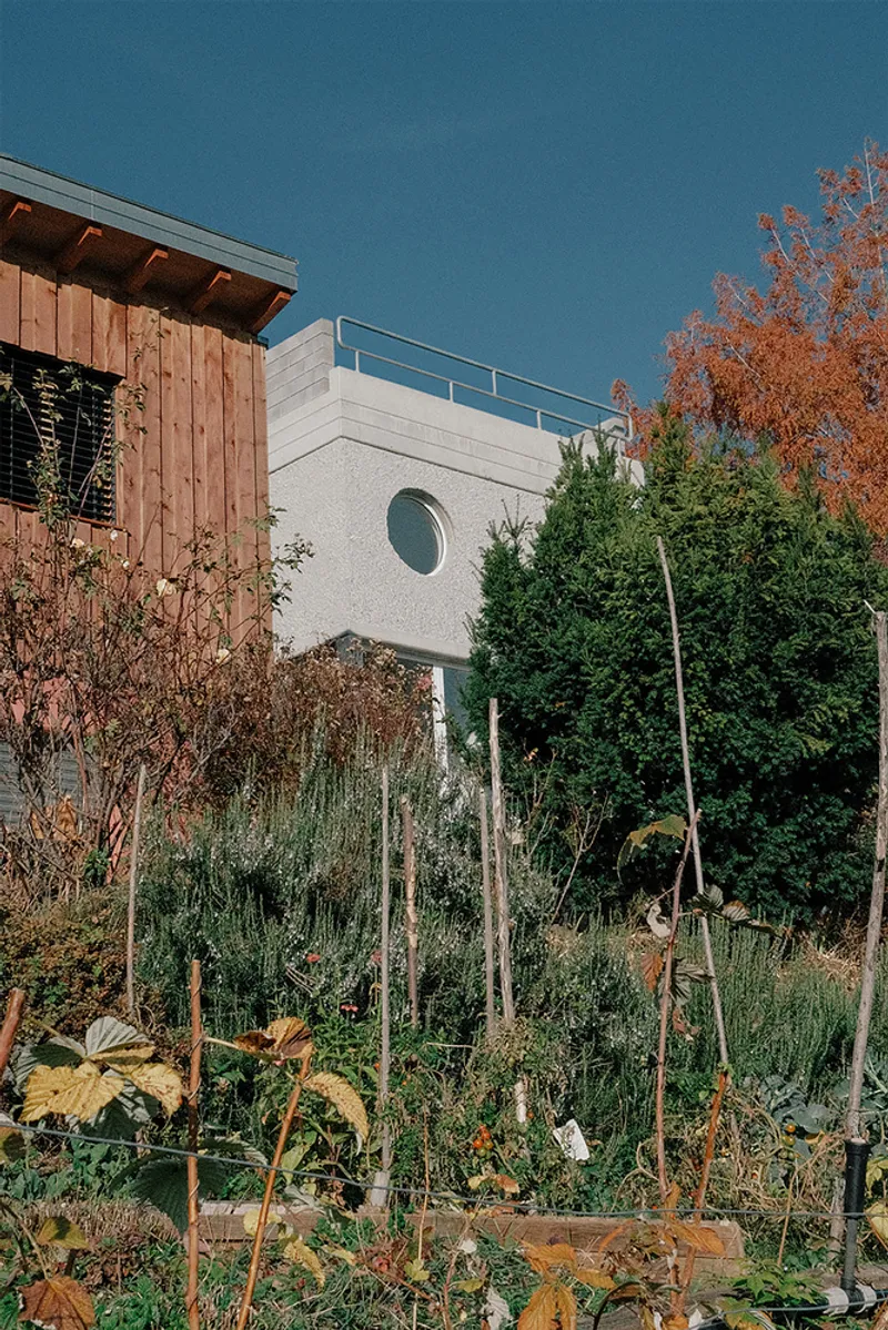 White rendered volume with porthole window and timber clad extension rising above terraced garden beds in autumn