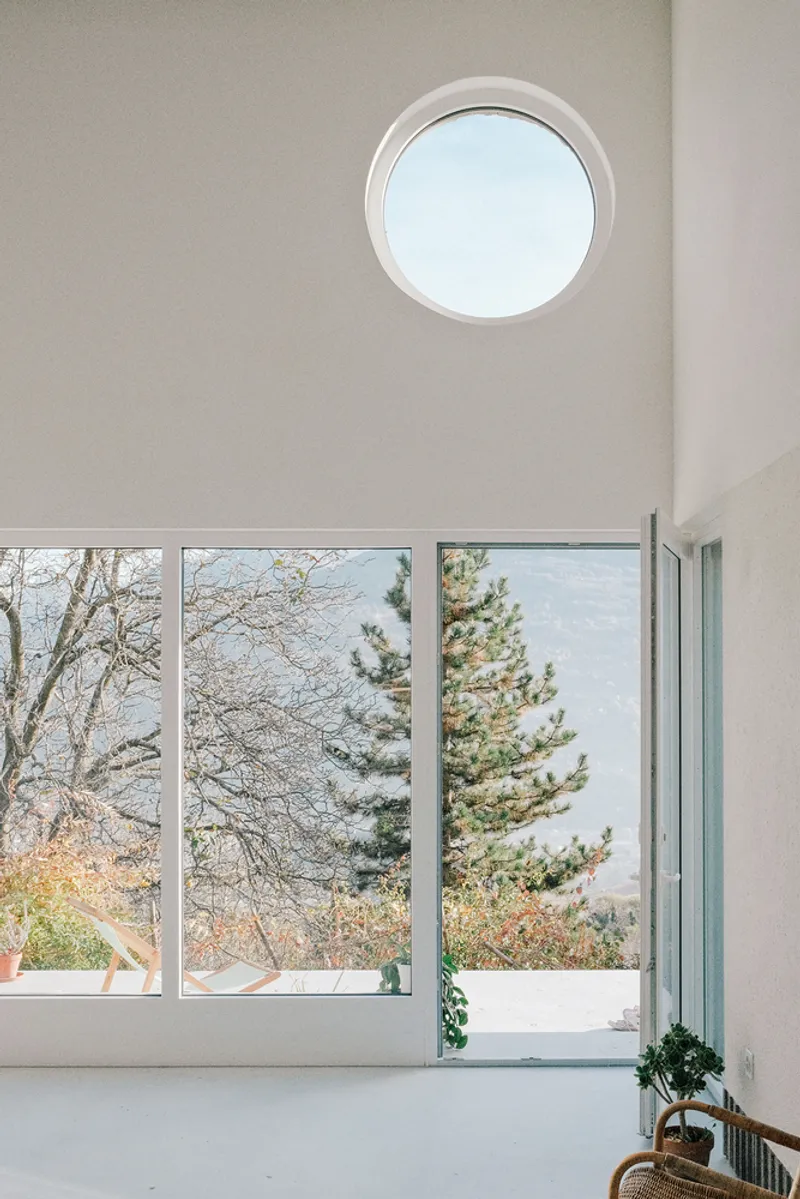 Tall windows and circular skylight framing evergreen trees outside in daylight