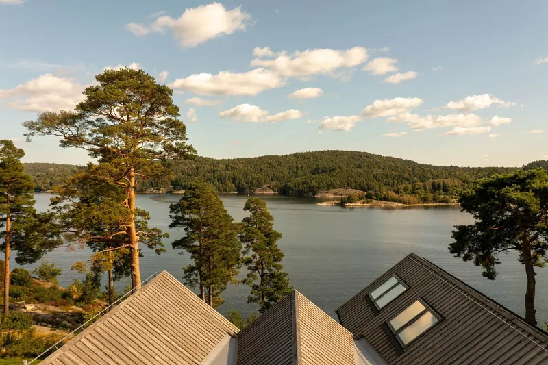 Aerial view of gabled rooftops with skylights framed by pine trees overlooking forested shoreline