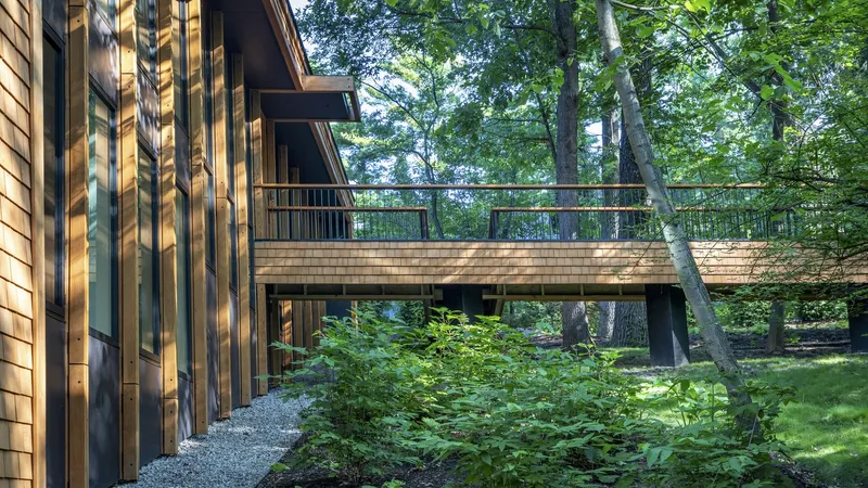Elevated timber deck with metal railing cantilevering over a planted bed of ferns and gravel