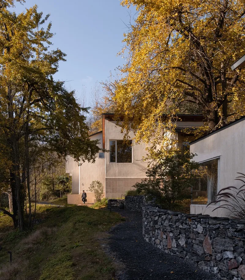 Approach path with gabion retaining wall winding past white rendered volumes under golden autumn foliage
