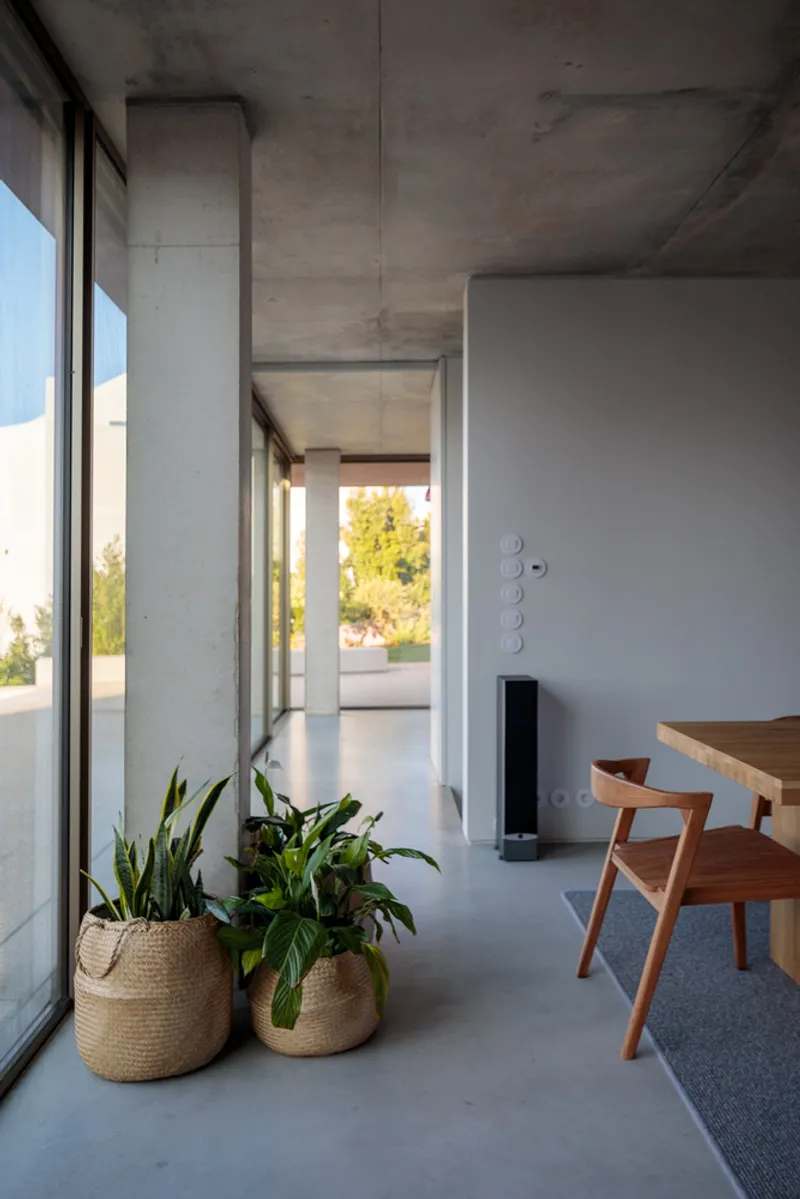 Interior view of exposed concrete column and ceiling with potted plants beside full-height glazing