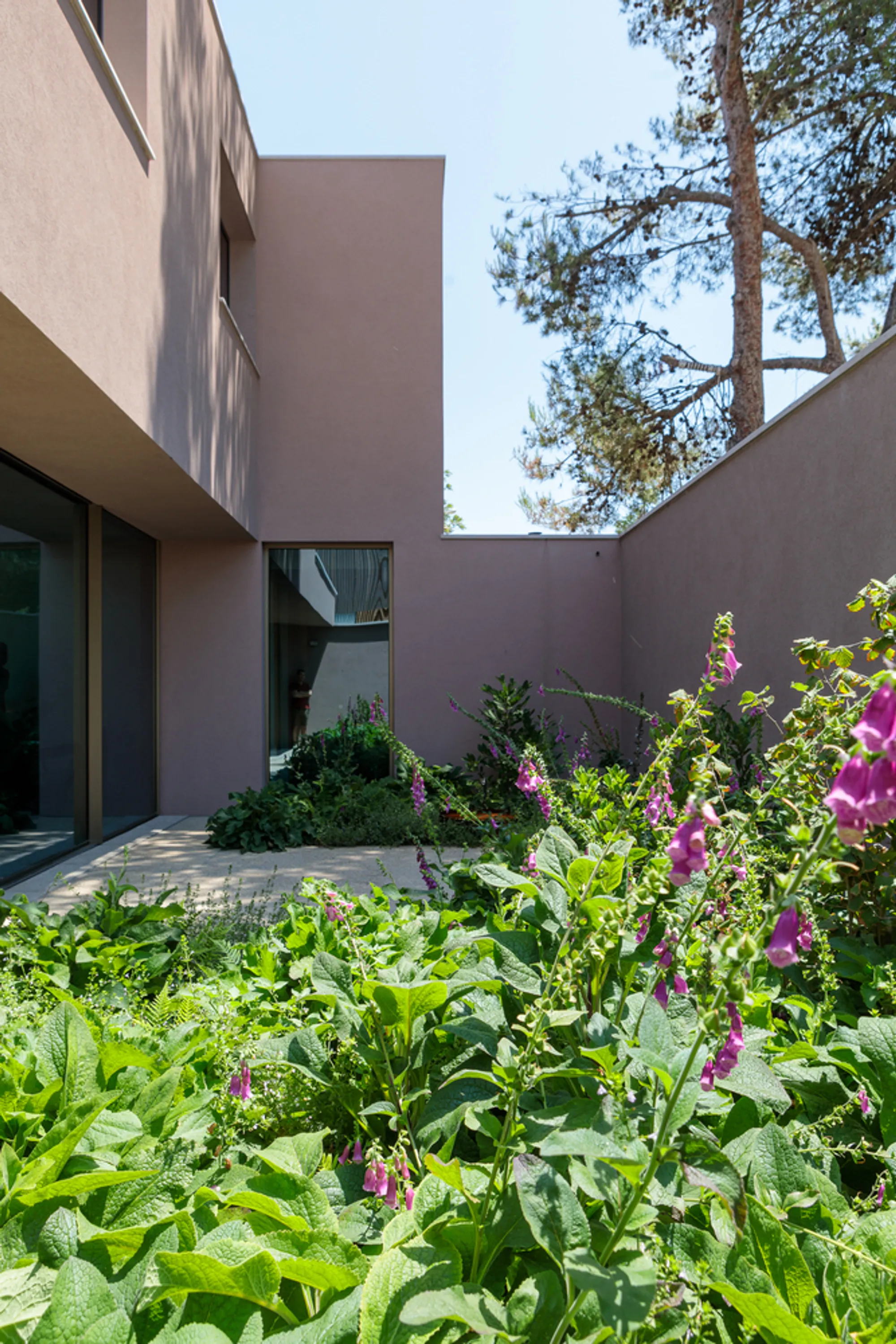 João Caetano Arquitetura Wraps a Pink House Around a Sloped Caxias Plot
