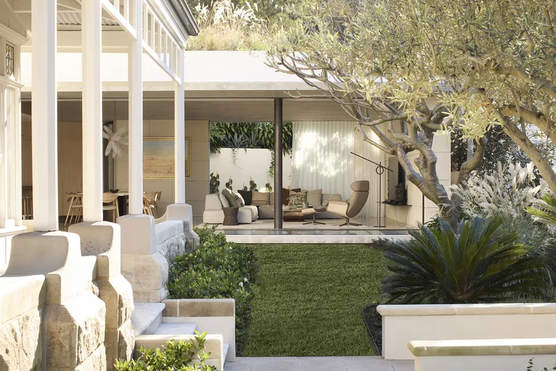 Courtyard garden with lawn, planted beds, and mature olive tree framing the glazed living pavilion
