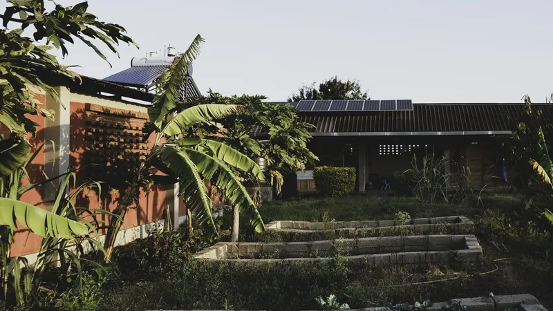 Concrete stepped seating area with solar panels on metal roof among banana palms at dusk