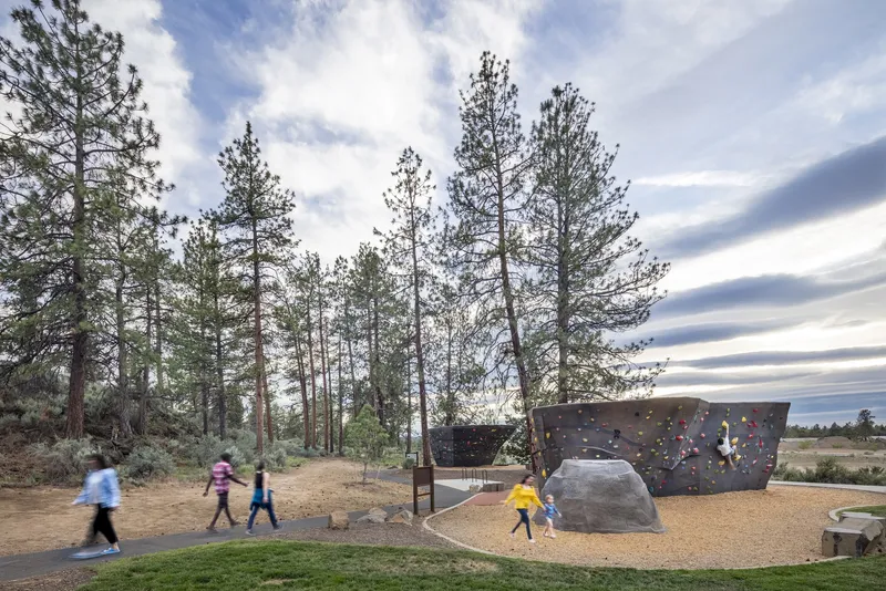 Playground area with climbing walls and large boulder among pines under cloudy sky at twilight