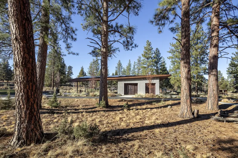 Single-story residence with flat roof and white walls framed by tall pines in a cleared forest