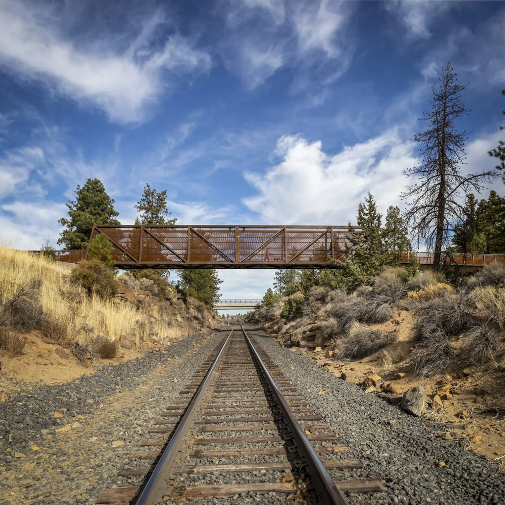 Fieldwork Design and Architecture Builds an Off-Grid Park That Channels the Cascades in Bend, Oregon