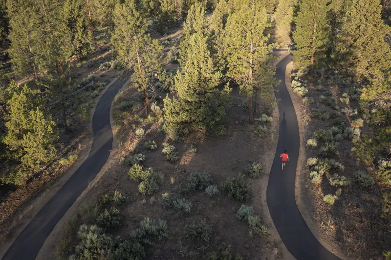 Aerial view of curved asphalt paths winding through restored forest with a cyclist in red