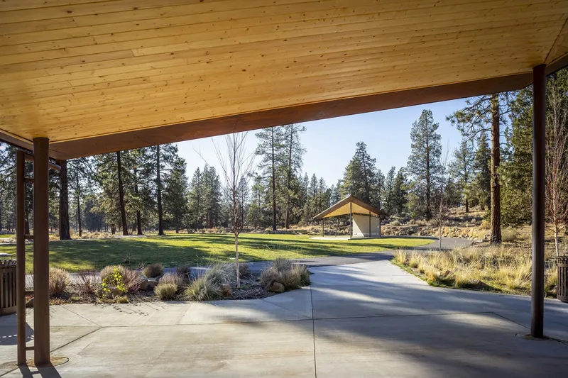 Covered porch with timber columns and tongue-and-groove ceiling overlooking a grassy clearing among ponderosa pines