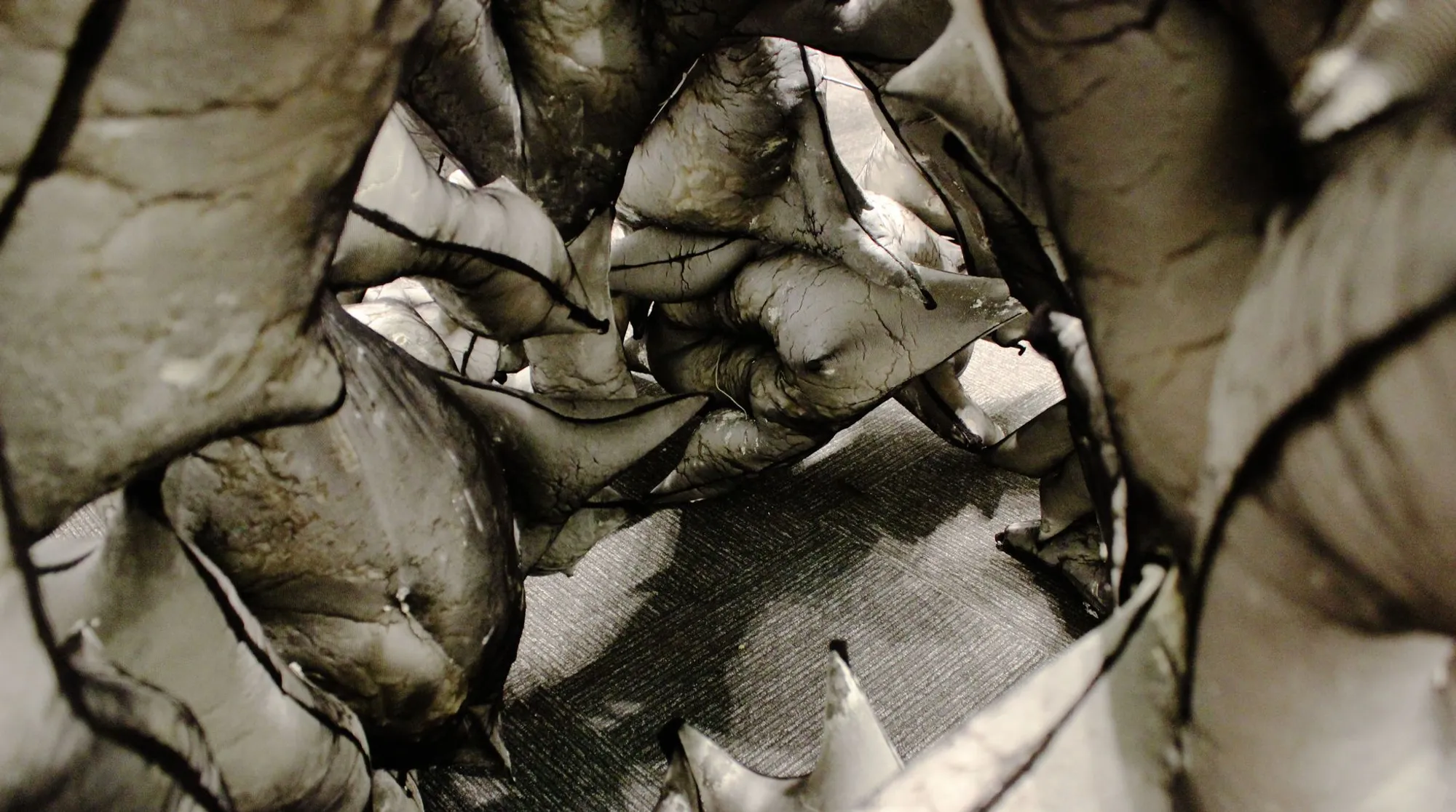 Timeout: A Parametric Pavilion Between the Playful and the Grotesque