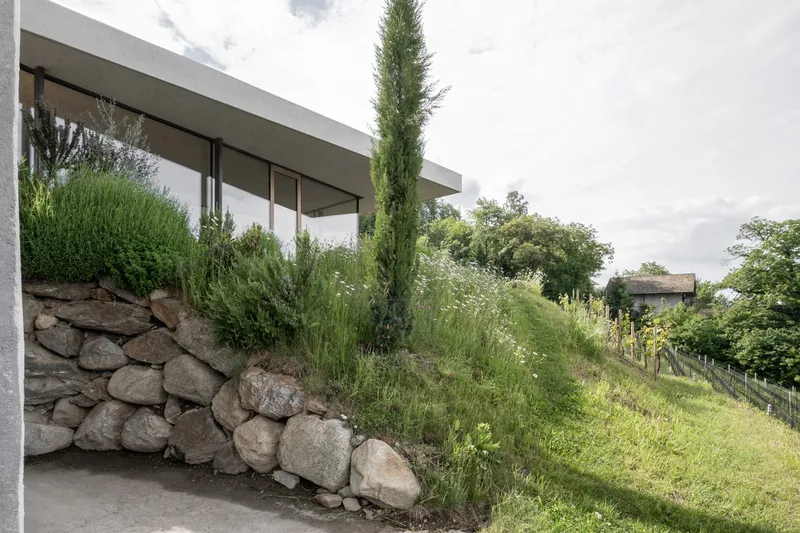 Planted stone retaining wall with grasses and cypress beneath a cantilevered concrete roof