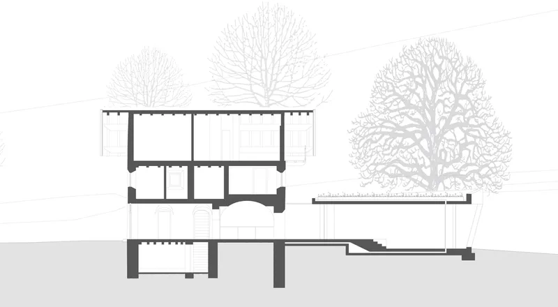 Section drawing revealing multi-level interior spaces carved into sloping terrain with deciduous trees above