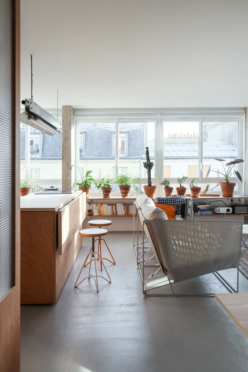 Open plan living space with plywood millwork, terracotta plant pots along the windowsill, and polished concrete flooring