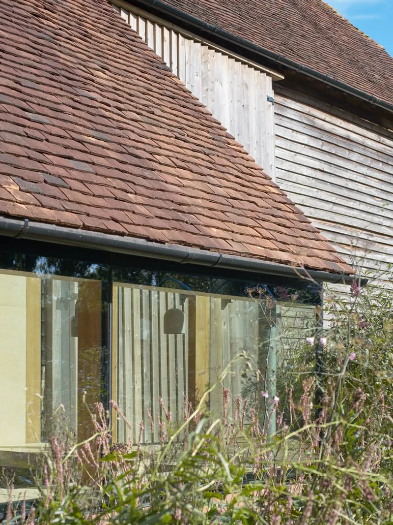 Clay tile roof meeting weathered timber cladding above corner glazing and wildflower planting in daylight