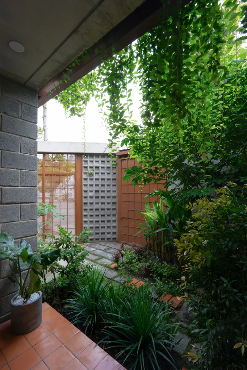 Internal courtyard with concrete block walls, climbing vines overhead, and planted ground cover below