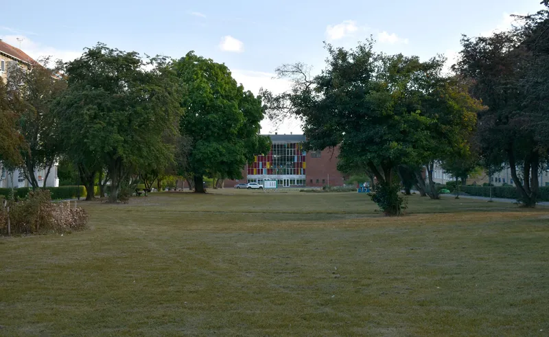 Lawn with mature trees framing a view toward a colorful glass facade in late afternoon light