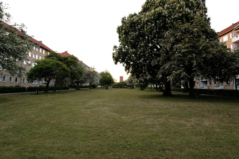 Open park lawn flanked by brick residential blocks and large specimen trees at dusk