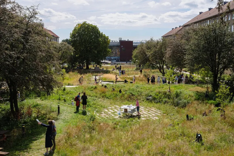 Elevated view of the landscaped park with wildflower meadows and visitors scattered among established trees