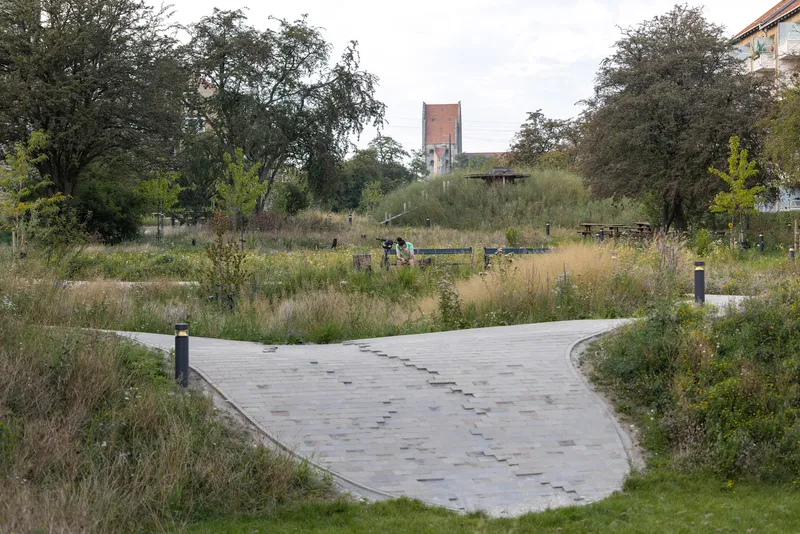 Curved concrete paving detail with inset stone accents meandering through the naturalized planting zones