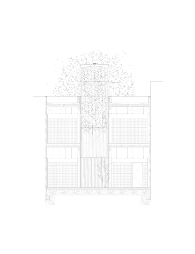 Section drawing through the central courtyard revealing interior floors and a tall canopy tree