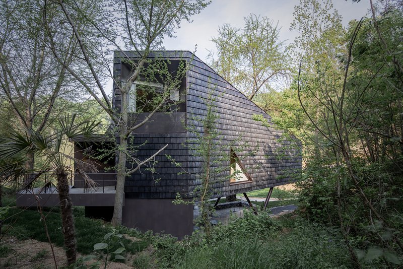 Charcoal-shingled facade rising through dense vegetation with a planted retaining wall at the base