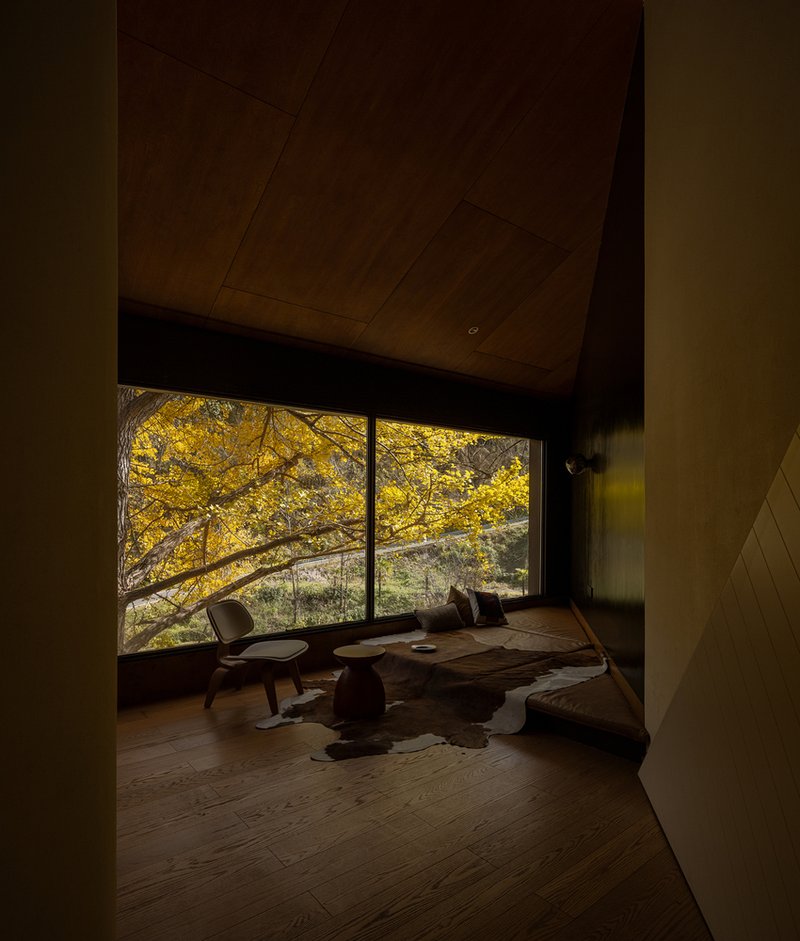 Living room with faceted wood ceiling and large window framing yellow autumn trees