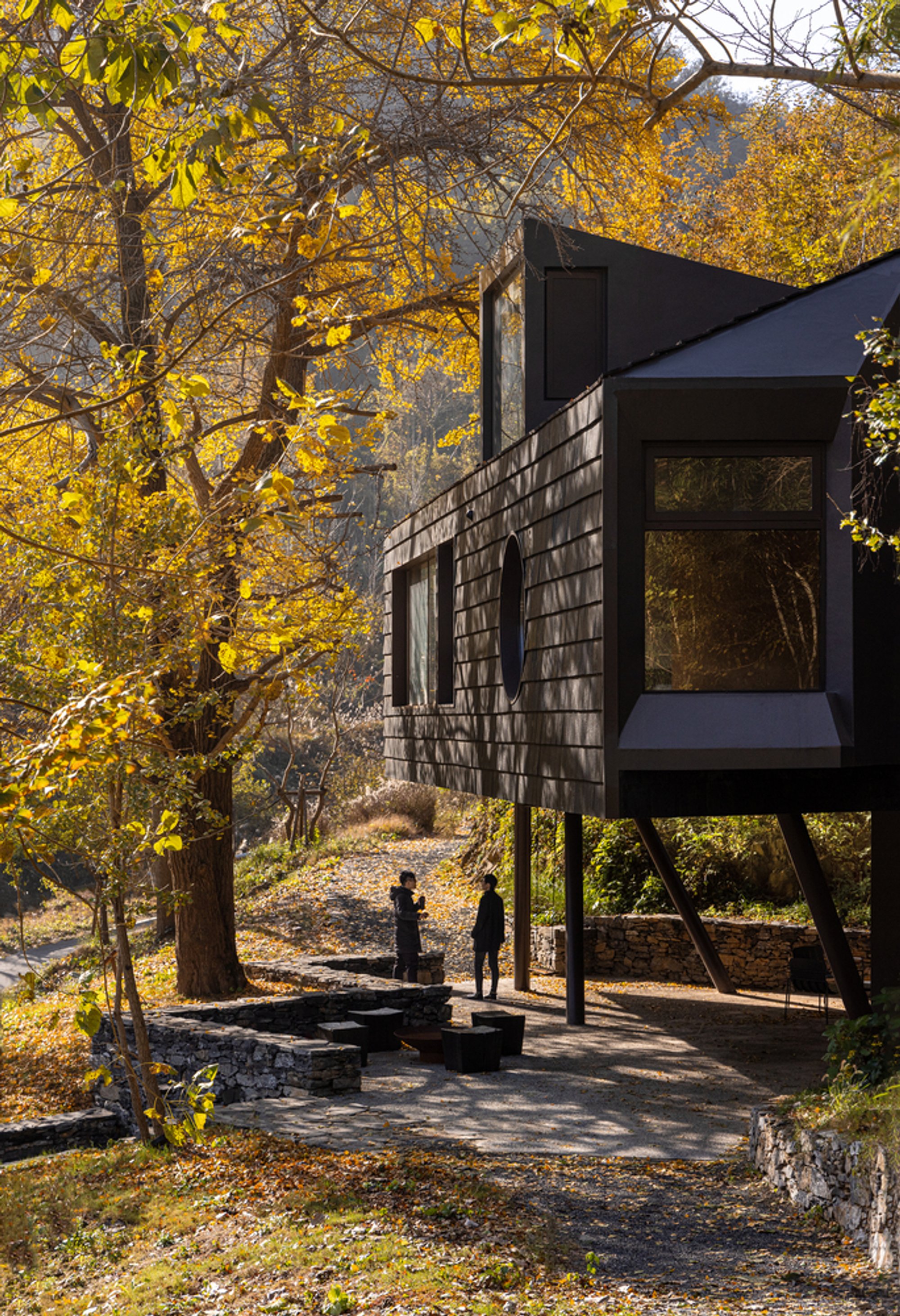 Moguang Studio Lifts a Guest Retreat into the Ginkgo Canopy of China's Guangjiachong Valley