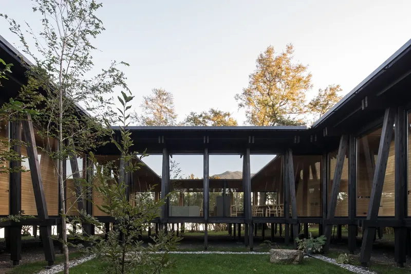 Elevated timber structure on black steel columns surrounding a planted courtyard with young trees