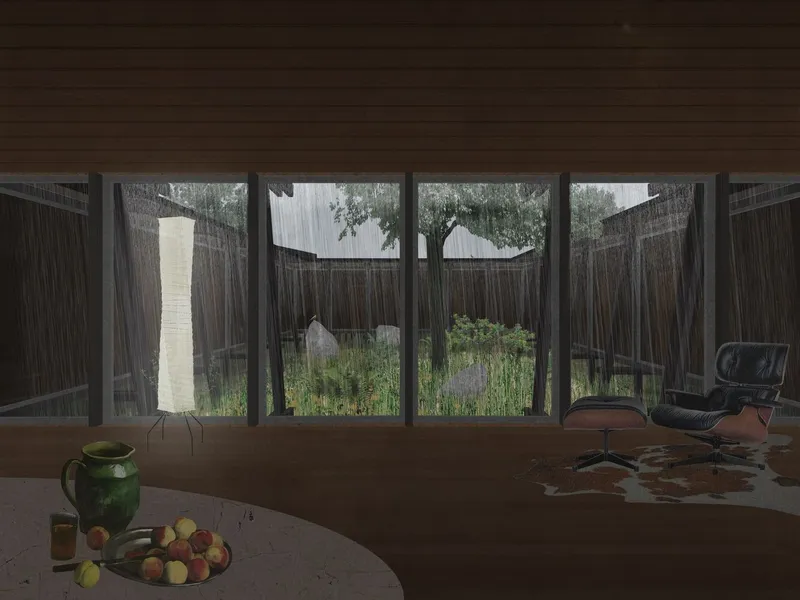 View through glazed wall to enclosed courtyard garden with native plantings and mature tree