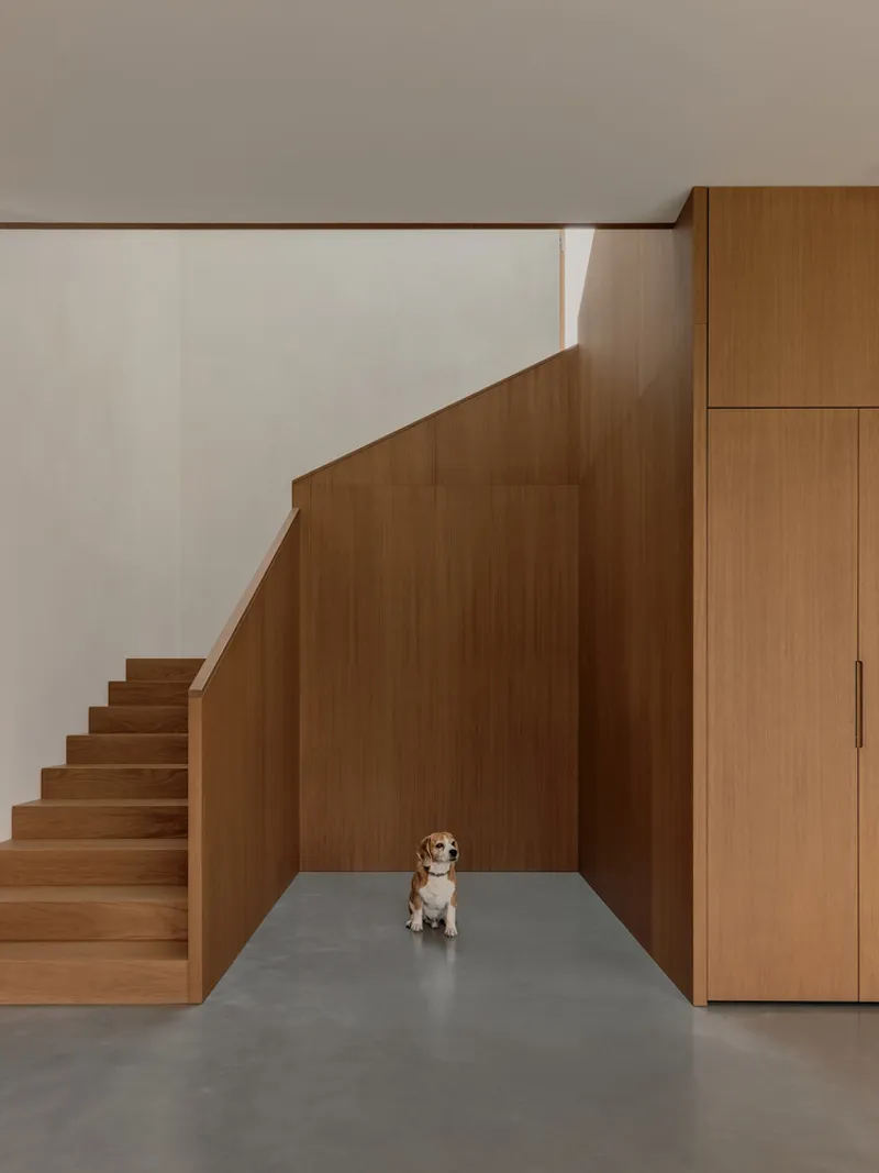 Timber staircase rising alongside paneled storage wall with a dog seated on the grey concrete floor below