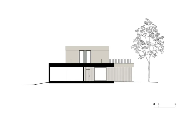 Section drawing showing two-storey volume with flat roof and single tree in outline