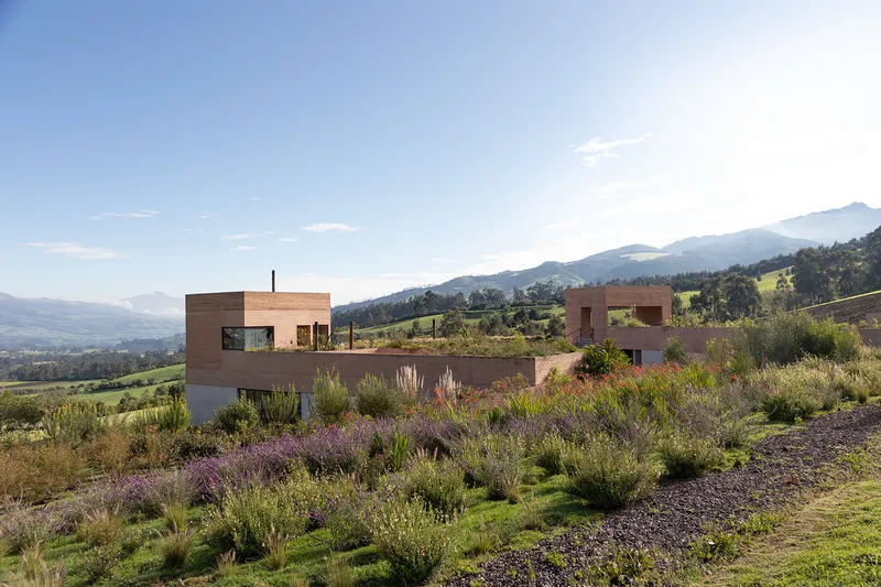 Rammed earth volumes framed by native grasses and purple wildflowers on a hillside