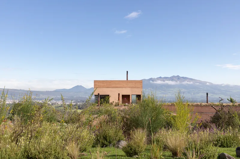 Upper rammed earth block rising above the planted roof terrace with mountains in the distance