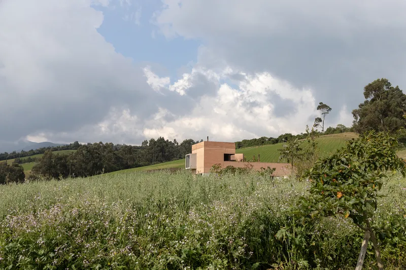 Rammed earth volumes set within a wildflower meadow under gathering storm clouds