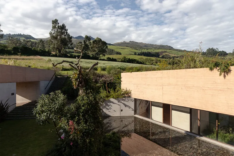 Courtyard view with planted trees and timber volume above glazed ground floor facing hillside landscape