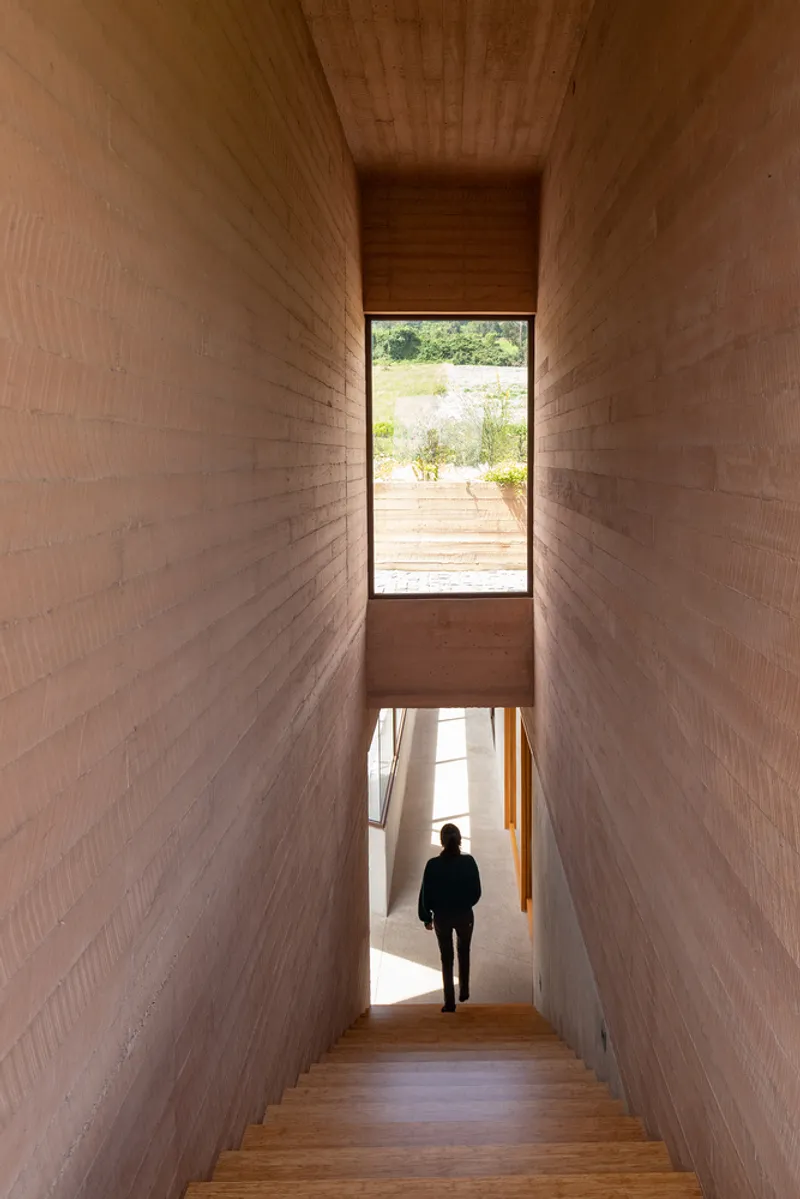 Narrow timber-lined stairwell descending toward a figure with daylight entering from opening above