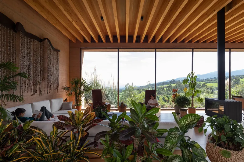 Living room with striped timber ceiling and floor-to-ceiling glazing overlooking the planted terrace and valley
