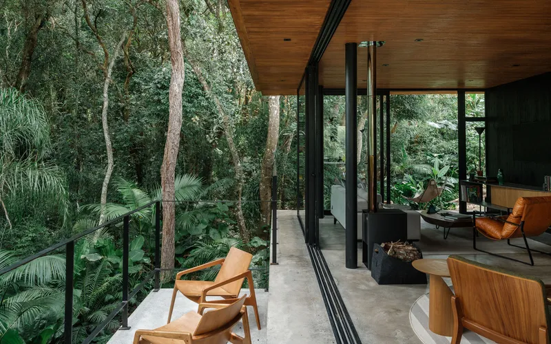 Open living area with timber ceiling and floor-to-ceiling glazing overlooking dense forest vegetation