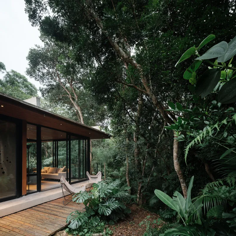 Timber deck with sliding glass doors nestled among monstera plants and mature tree trunks