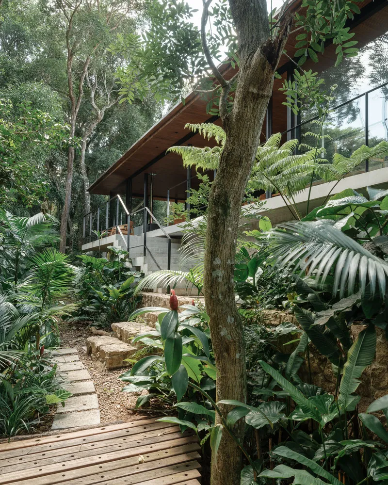 Timber walkway leading through dense tropical plantings to a concrete staircase with steel railings