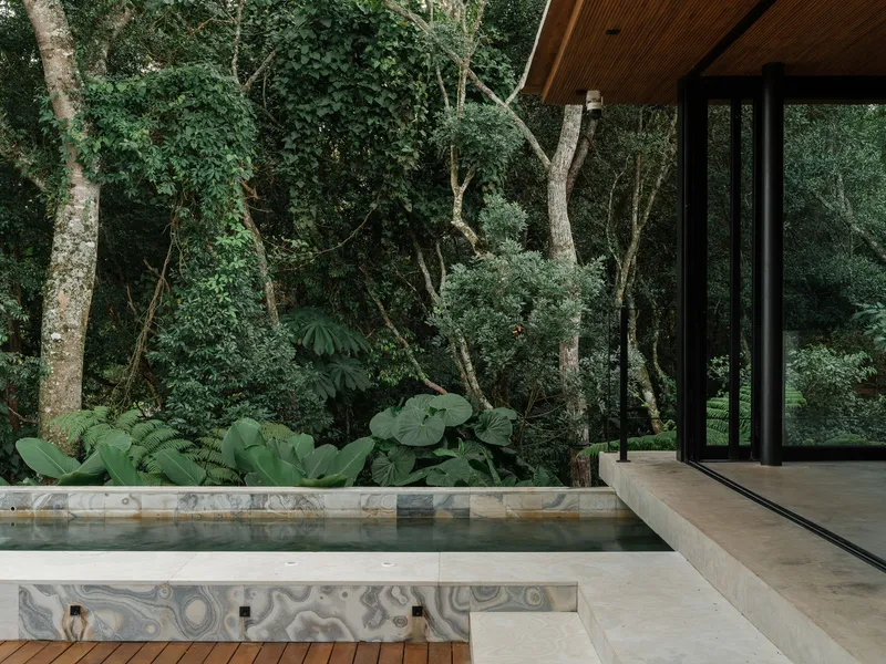 Terrace with rectangular pool edged in swirling stone and timber deck facing dense jungle vegetation