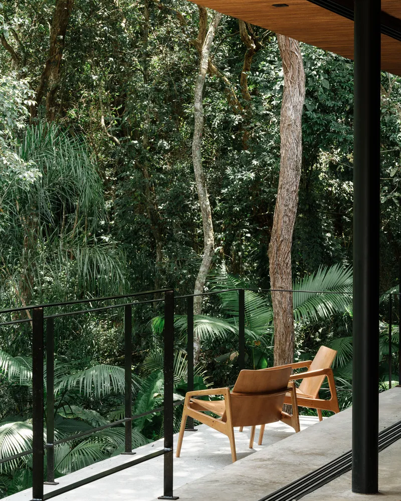 Covered balcony with steel railing and lounge chairs overlooking ferns and trees in dappled light